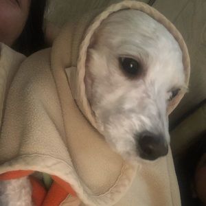 Meet your Posher, Nayeli